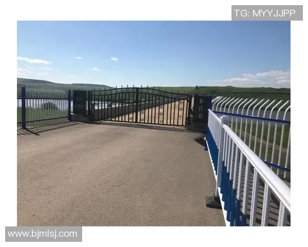 《足球传奇：那些曾在书本上留下足迹的球星故事》