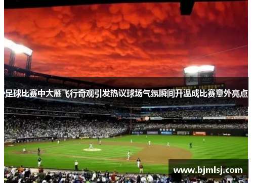 足球比赛中大雁飞行奇观引发热议球场气氛瞬间升温成比赛意外亮点