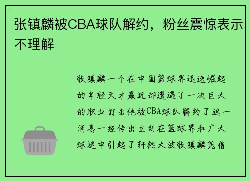张镇麟被CBA球队解约，粉丝震惊表示不理解